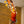 Shubb Steel-String Guitar Capo Rosette