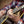 Shubb Original Nylon-String Guitar Capo Brass