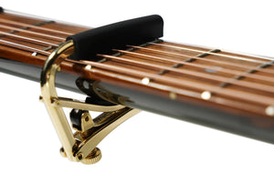 Shubb Steel-String Guitar Capo Pierre Bensusan Model