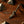 Shubb Steel-String Guitar Capo Engraved Pierre Bensusan