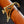 Shubb Steel-String Guitar Capo Engraved Tommy Emmanuel 