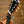 Shubb Steel-String Guitar Capo Sequoia Brass