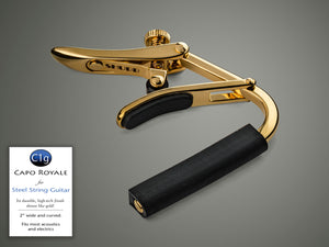 Shubb Standard, Steel-String