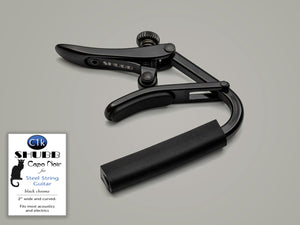 Shubb Standard, Steel-String